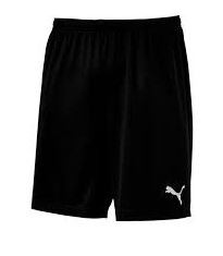 Puma SBK shorts 
