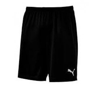 Puma SBK shorts 